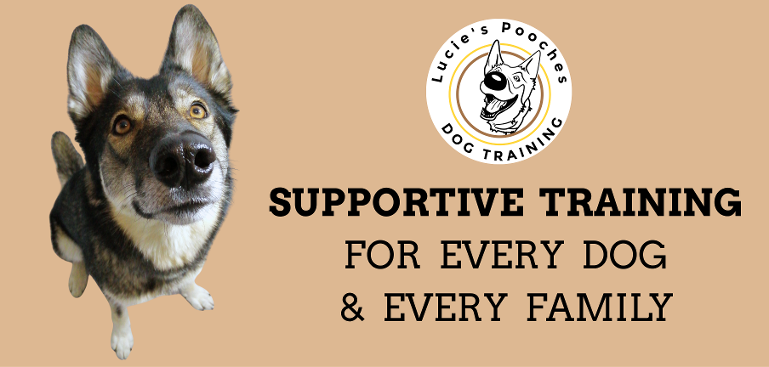 Supportive training for every dog and every family